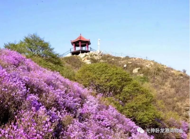首页| beat365中国区唯一官网